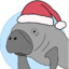 Festive Dugong