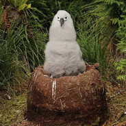 intellectualdisability26