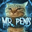 Mr. Penis