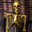 gold Skeleton