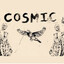 Cosmic