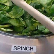 Spinch