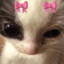 Chowo