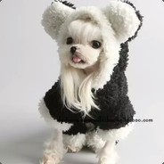 宝宝巴士50+-严查