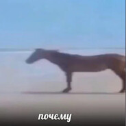 почему - steam id 76561199207033100