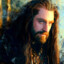 Thorin Oakenshield