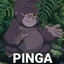 Pinga