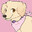 cake!'s Avatar