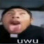A Normal Boi
