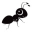 smallant
