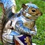 Squirrel Knight
