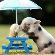 猛踹瘸子那条好腿