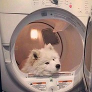 我升职了，你要不要吸吸我的升职气