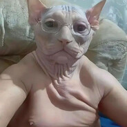 VazilinovojeДРИСЛО