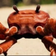 Крабцапчик