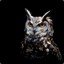 Otus