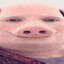 Niilo