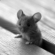 mouse