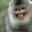 Badger Ape