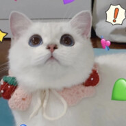 Big Avatar