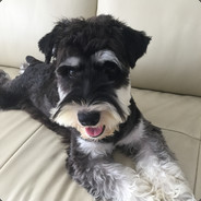 是你的黑巧克力