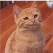 Micitrong