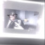 Blackstxr