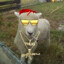 SheepyTheDon