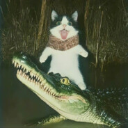 天若有情天亦老