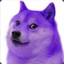 Purple Doge.