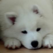 Serkiz - steam id 76561197961887919