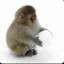 Thilyna's avatar
