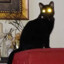 SHADOW&#039;S FURY