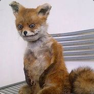 Упоротая Лиса