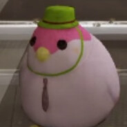 Player Avatar