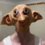 fii tingle