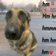 Пузос_висает