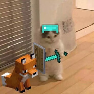 猫猫自挂东南枝