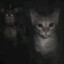 minou
