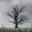 artgamew