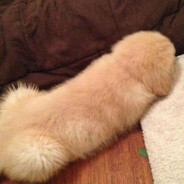 年愁今夜未到乡