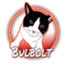 Bulbolt