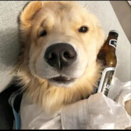 天空灰的像哭过