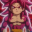 Super Ssj4