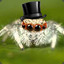 FancySpiders