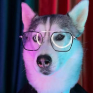 想把大电塞进艾许姐姐的哨兵里