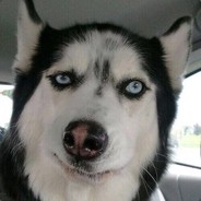 感觉自己好弱鸡