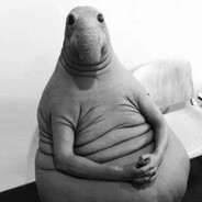 ПОЛЫЙ ЖДУН - steam id 76561199378731113