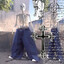 barakyda2003