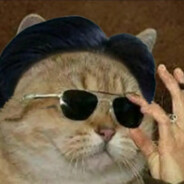 我叫稻上飞，或者你可以叫我总设计师